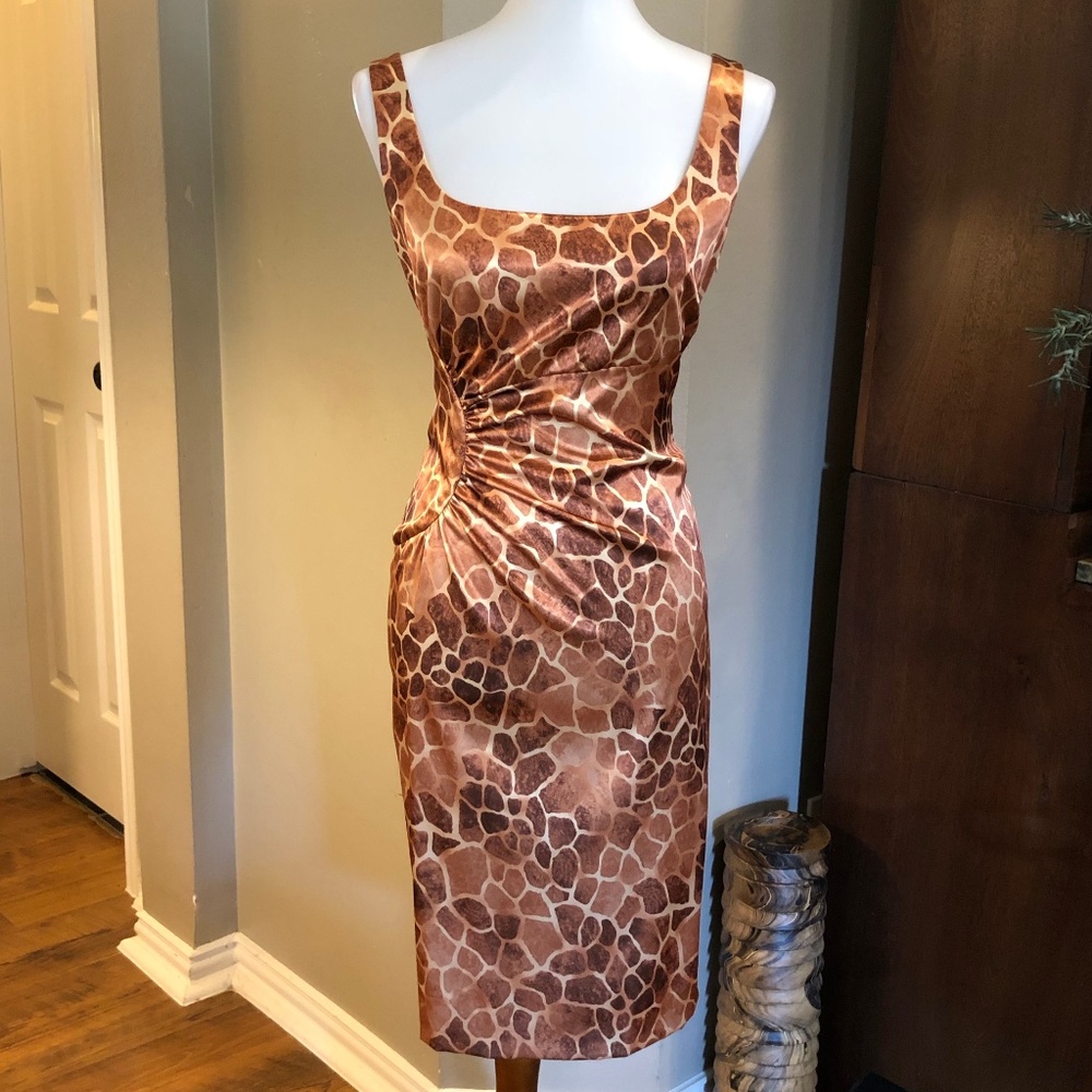 DAVID MEISTER DRESS